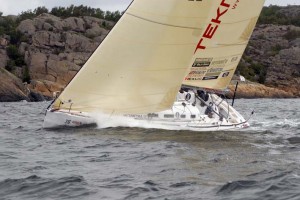 Albatross segel