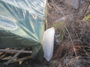 IMG_5205