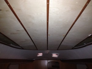 IMG_5031
